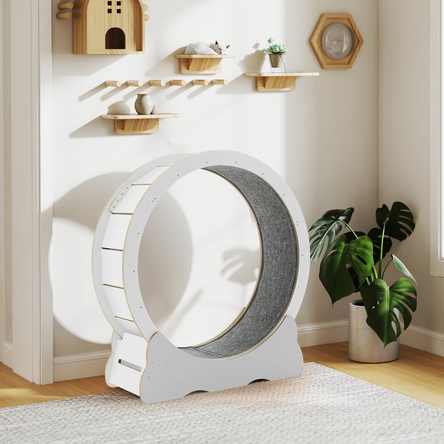 AECOJOY 45” Cat Treadmill Large XL Quiet Cat Exercise Running Wheel for Indoor Cats, White